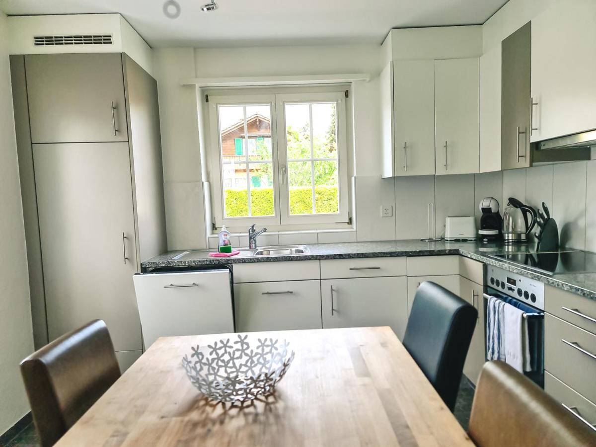 Kreuz Apartment - Aare Jungfrau Ag Wilderswil Zewnętrze zdjęcie