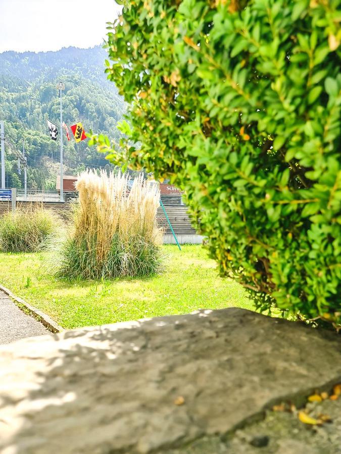 Kreuz Apartment - Aare Jungfrau Ag Wilderswil Zewnętrze zdjęcie